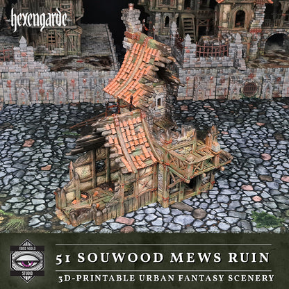 51 Sourwood Mews Ruin - Tired World Studio