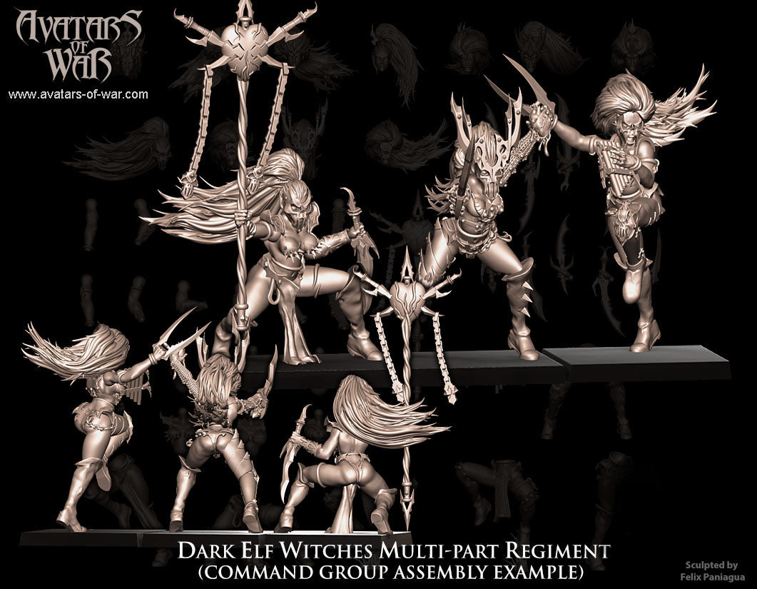 Dark Elf Witches (Multi-Part Regiment) by Avatars of War