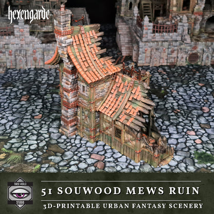 51 Sourwood Mews Ruin - Tired World Studio