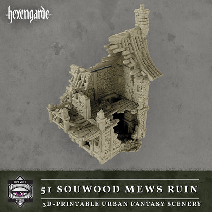 51 Sourwood Mews Ruin - Tired World Studio