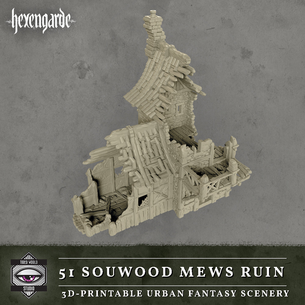 51 Sourwood Mews Ruin - Tired World Studio