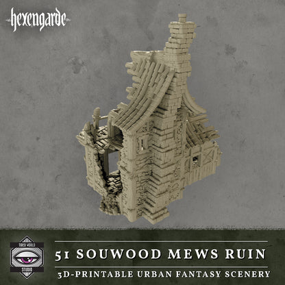 51 Sourwood Mews Ruin - Tired World Studio