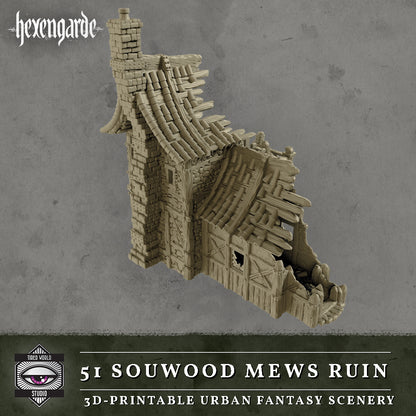 51 Sourwood Mews Ruin - Tired World Studio