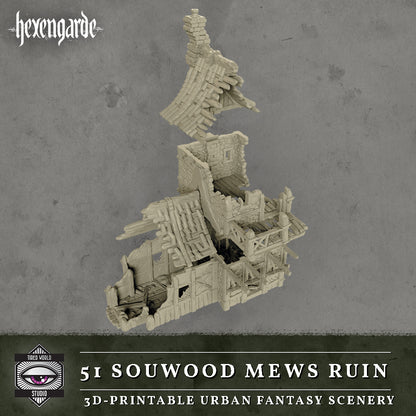 51 Sourwood Mews Ruin - Tired World Studio