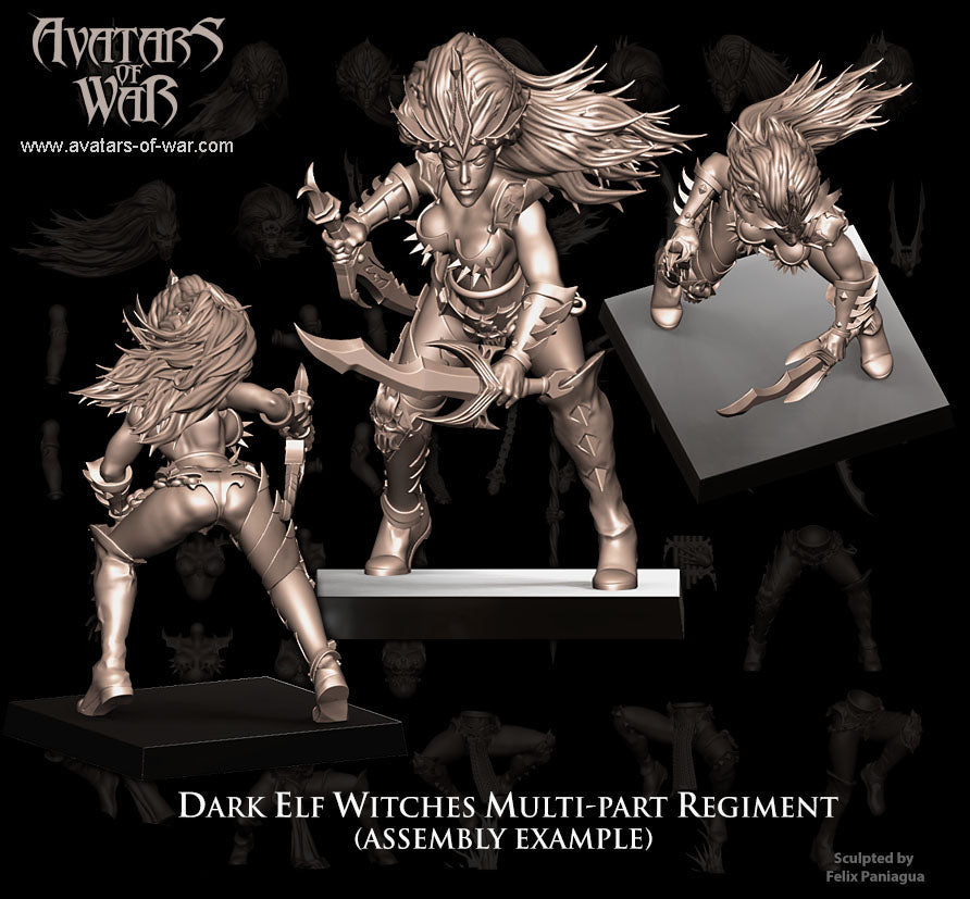 Dark Elf Witches (Multi-Part Regiment) by Avatars of War