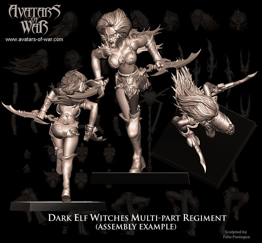 Dark Elf Witches (Multi-Part Regiment) by Avatars of War