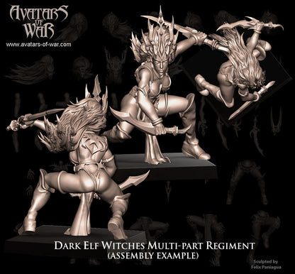 Dark Elf Witches (Multi-Part Regiment) by Avatars of War