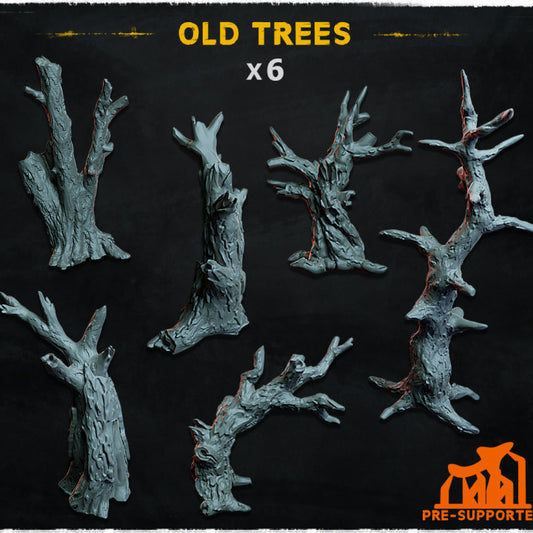 Old Trees