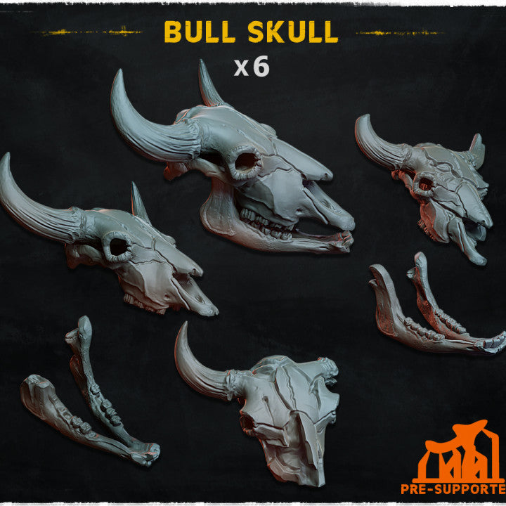 Bull Skull