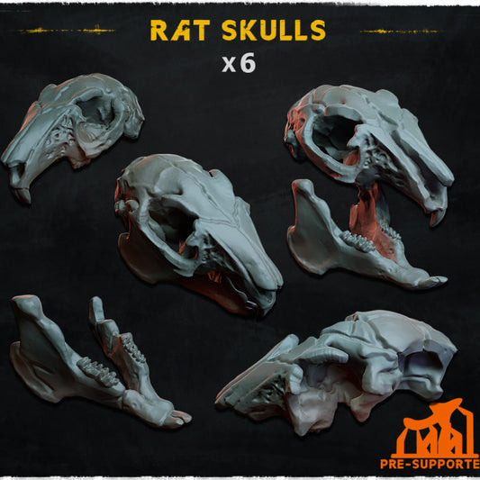 Rat Skulls