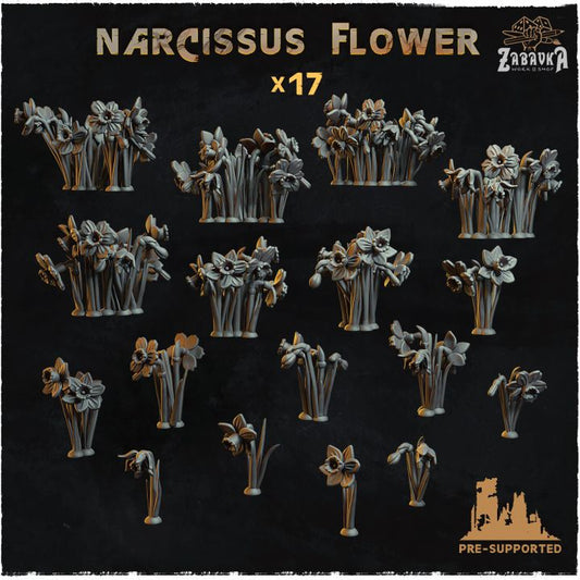 Narcissus Flowers