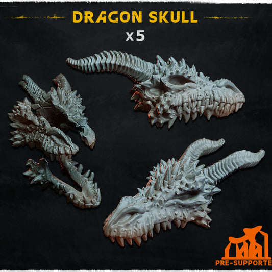 Dragon Skulls