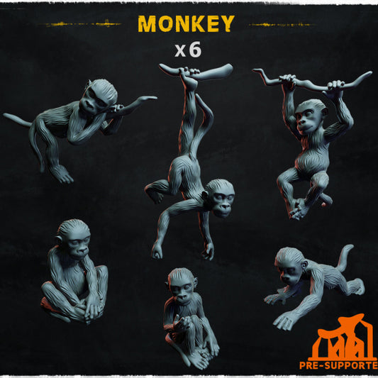 Monkeys