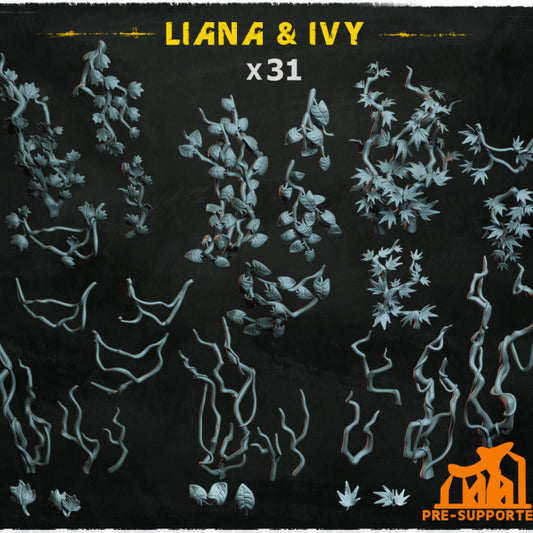 Liana & Ivy