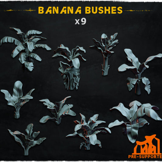 Banana Bushes