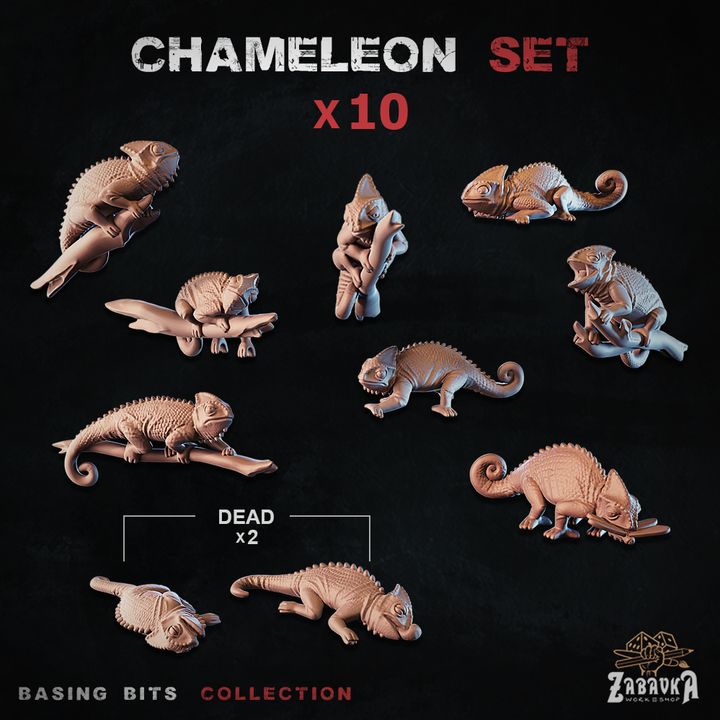 Chameleons