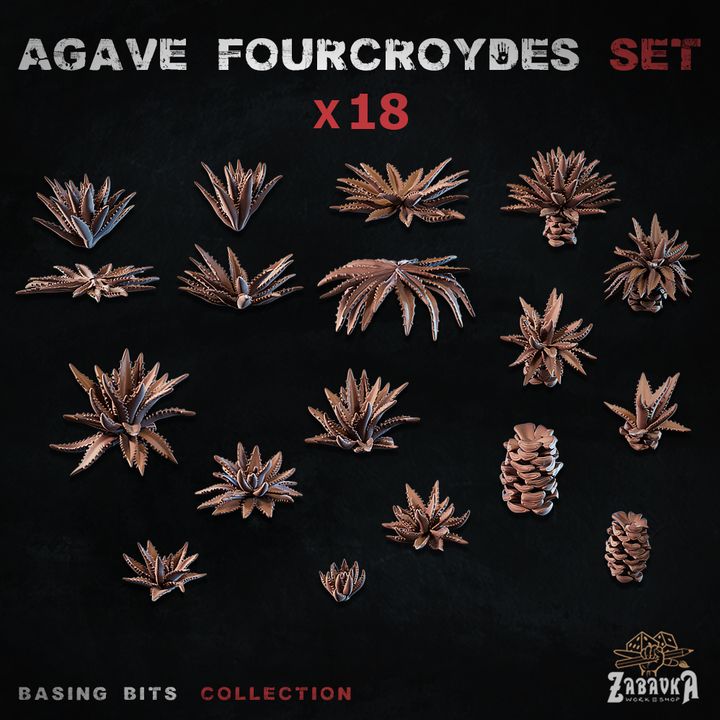 Agave fourcroydes