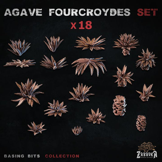 Agave fourcroydes