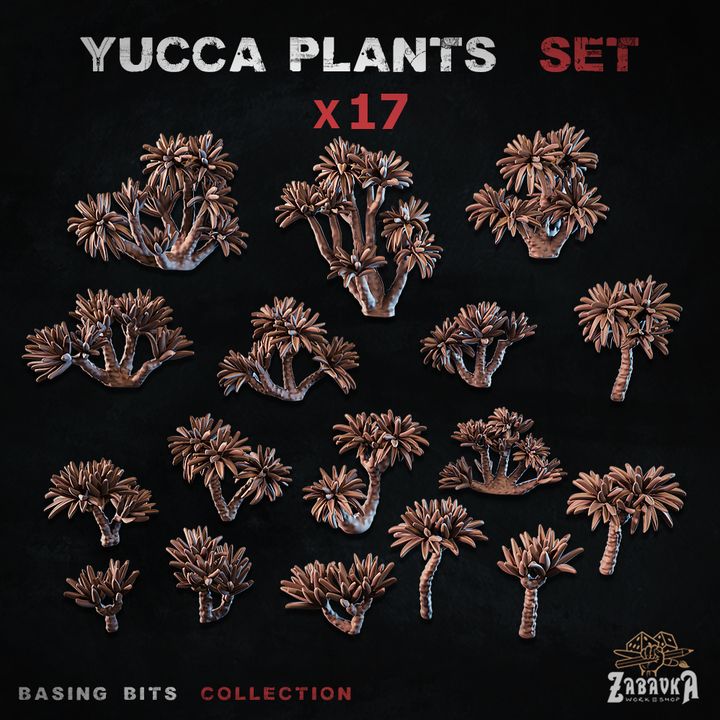 Yucca Plants