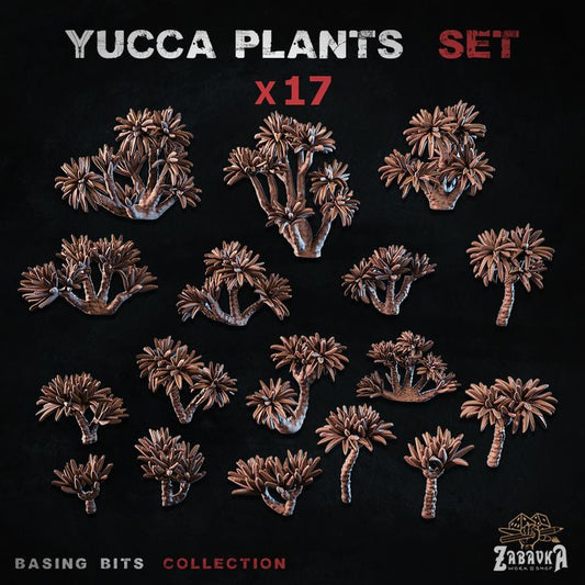 Yucca Plants