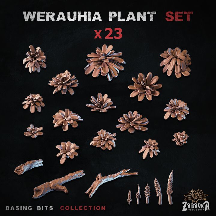 Werauhia Plants