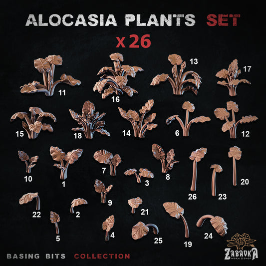 Alocasia Plants