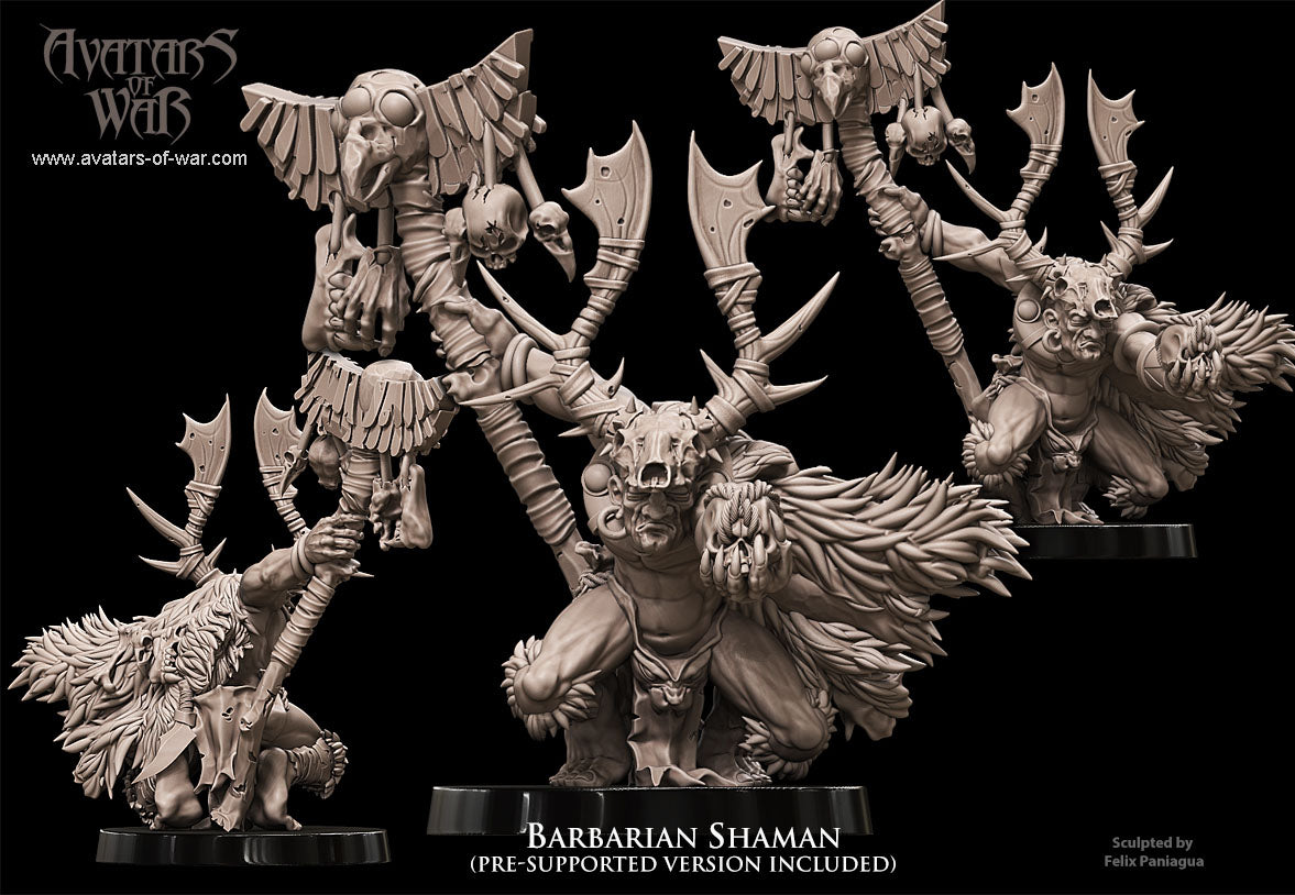 Barbarian Shaman by Avatars of War