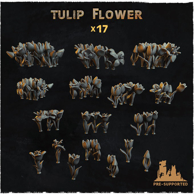 Tulip Flowers